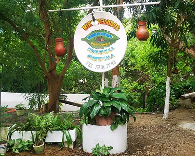 glamping_bosque_0